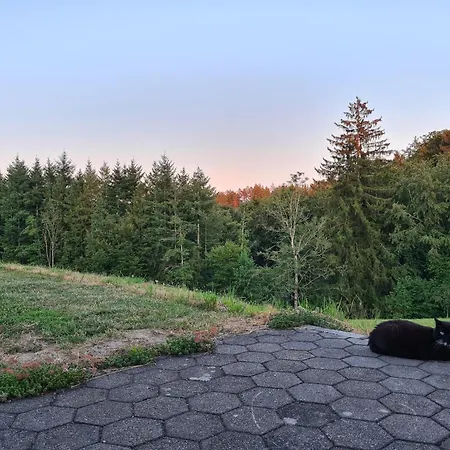 Perle Am Kobernausserwald - Willkommen Dahoam Appartement *