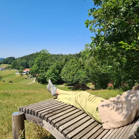 Perle Am Kobernausserwald - Willkommen Dahoam Aspach im Innkreis